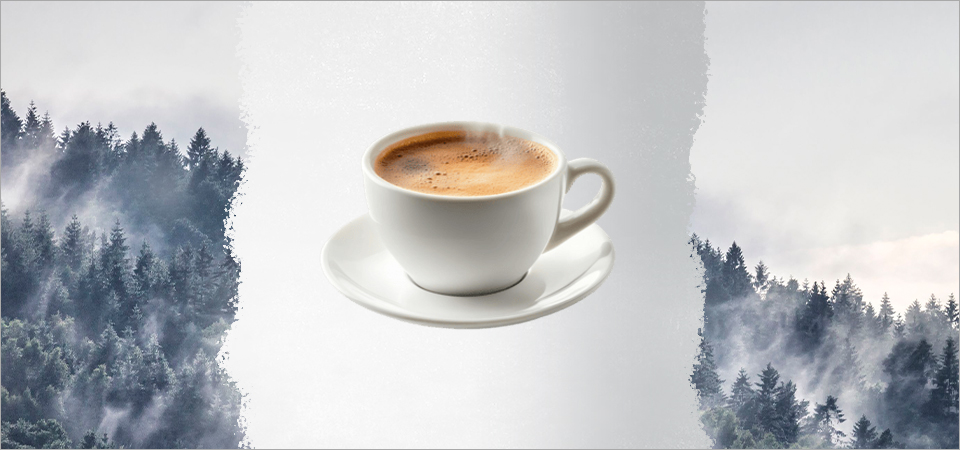 Шаблон в статью 21 .jpg