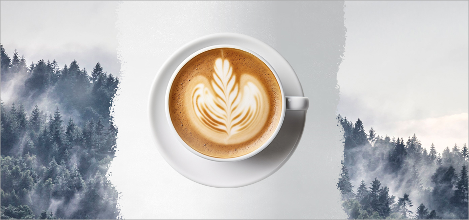 Шаблон в статью 20.jpg