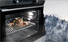 Виды очистки духовых шкафов