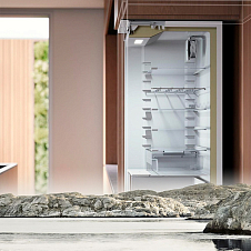 Автоматическое размораживания