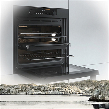 Прожарка мяса ProRoast