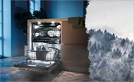 Моющие средства и соль в посудомоечной машине Asko: что важно знать